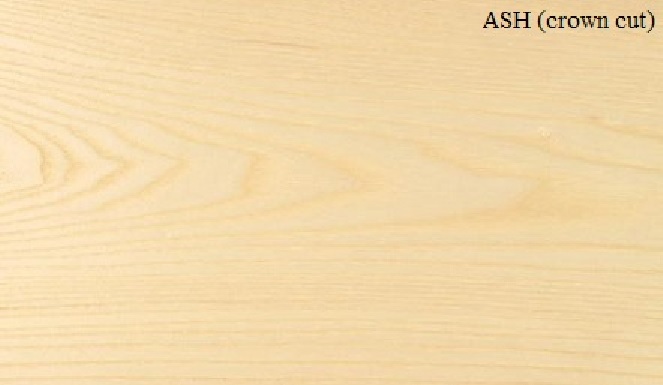 ASH crown THICK constructional veneer